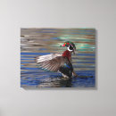Search for single winged posters Water
