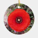Search for poppy christmas tree decorations Wildflower