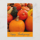 Search for fall bounty postcards Pumpkins