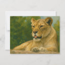 Search for lioness postcards Big cat