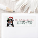 Search for mountain dog return address labels Berner