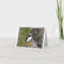 Search for isle cards Photography