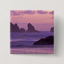 Search for coastal badges Rock