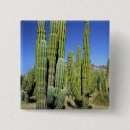 Search for organic square badges Nature