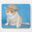 Search for hunter electronics Cat