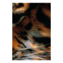 Search for wildlife posters Portrait