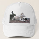 Search for white wolf hats Forest