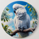 Search for cockatoos badges Animal