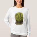 Search for cedars Japan