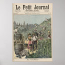 Search for viticulture posters Vines