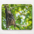 Search for brown eye mousepads Animal