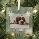 Search for dog photo christmas tree decorations Green