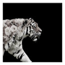 Search for beautiful roses posters Flowers