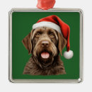 Search for point christmas tree decorations Dog
