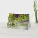 Search for lilies cards Garden