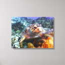 Search for hawksbill art Ocean