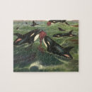 Search for orca puzzles Killer whales