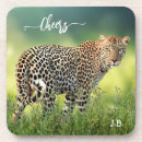 Search for big cat coasters Leopard