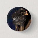 Search for peeps badges Bird