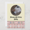 Search for cute patterns cards Cat