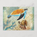 Search for vintage seashell postcards Antique