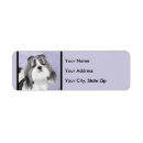 Search for black and white dog return address labels Shih tzu
