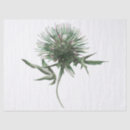 Search for thistle tissue paper Watercolor