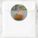 Search for thanks giving turkey stickers Pumpkin