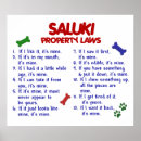 Search for saluki art Funny