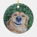 Search for pet name christmas tree decorations Paw