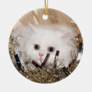 Search for persian christmas tree decorations Cat