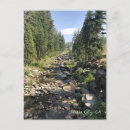 Search for nevada postcards City