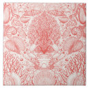 Search for scallop shell tiles Sea shells
