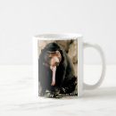 Search for bear pictures mugs Photos