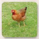 Search for fowl coasters Rooster