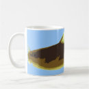 Search for catfish mugs Freshwater