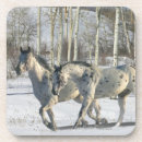 Search for appaloosa barware Snow