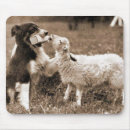 Search for lamb mousepads Sheep
