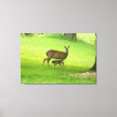 Search for does canvas prints Nature