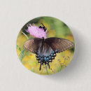 Search for swallowtail badges Insect