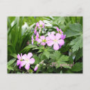 Search for woodland plants postcards Forest
