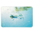 Search for blue pond magnets Green