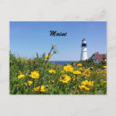 Search for maine postcards Flowers