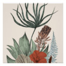 Search for protea posters Botanical