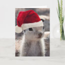 Search for santa squirrel cards Animal