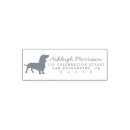 Search for dachsie Pets