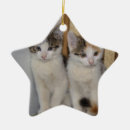 Search for kitten star christmas tree decorations Cute
