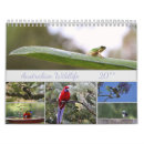 Search for parrot calendars Nature