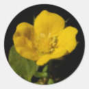 Search for weeding stickers Flowers