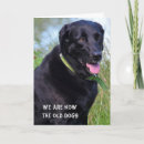 Search for black labrador birthday cards Retriever